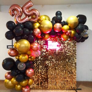 Delightful Décor Sequal Bacdrop Birthday Balloon Decoration